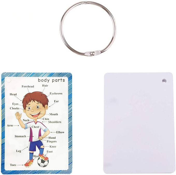 SANTSUN Set of Body Parts Kid Flashcards - Educational Learning Picture & Word Card Flashcards Body Parts-The Flash Hole-Punched So You Can Sort and Organize The Cards Easily