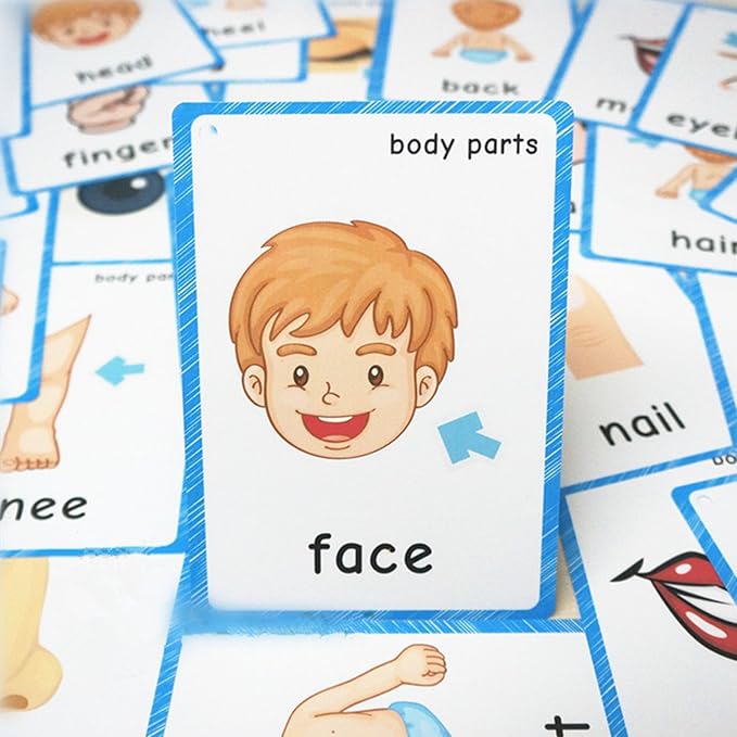 SANTSUN Set of Body Parts Kid Flashcards - Educational Learning Picture & Word Card Flashcards Body Parts-The Flash Hole-Punched So You Can Sort and Organize The Cards Easily