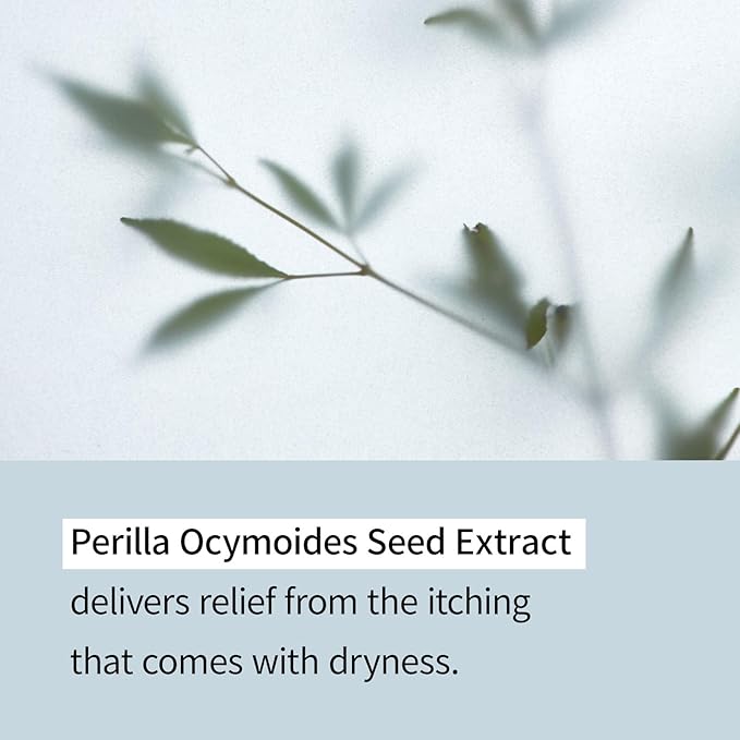 ILLIYOON Ceramide Ato Lotion 528ml(17.85oz) | Daily Moisturizing Lotion for All Skin Types | Deep Moisturizing and Soothing Effect | Korean Skin Care