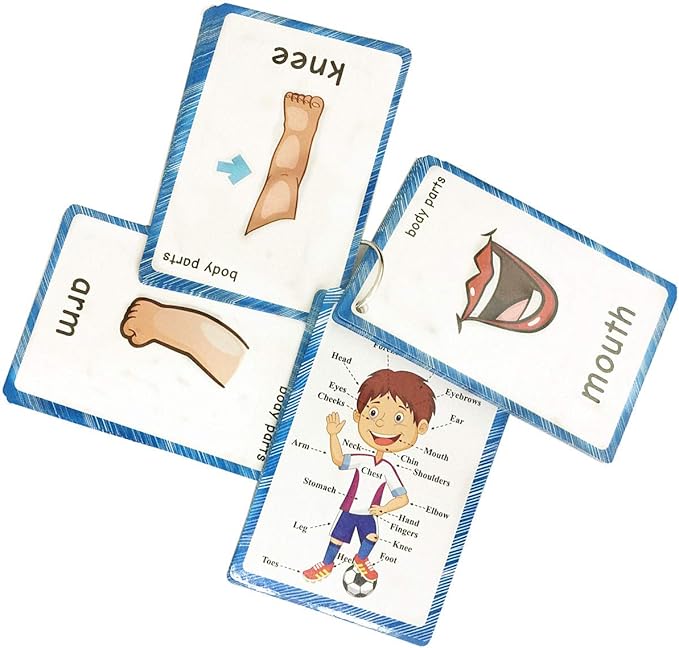 SANTSUN Set of Body Parts Kid Flashcards - Educational Learning Picture & Word Card Flashcards Body Parts-The Flash Hole-Punched So You Can Sort and Organize The Cards Easily