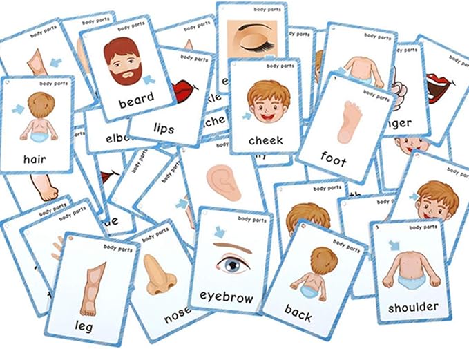 Body Parts+Weather Flashcards for Toddlers | Kids Learning Montessori Pocket Cards Toys | Perfect for Pre-K Decorations Background Wall Stickers,Teacher/Autism Therapists Tools