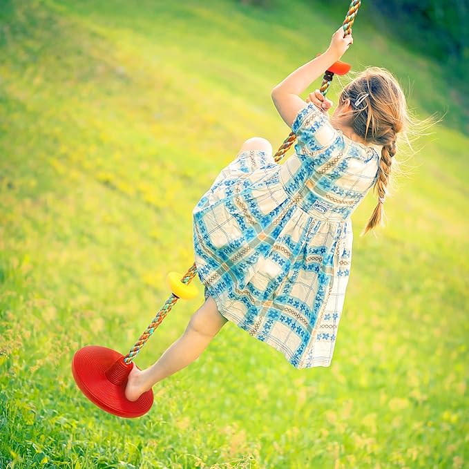 ZNCMRR Rope Swing for Tree Disc Swings Tree Swing for Kids Single Disc Seat and Climbing Rope for Kids Heavy Duty Swing Set for Backyard Playground Accessories Swingset Accessories Outdoor(Red)