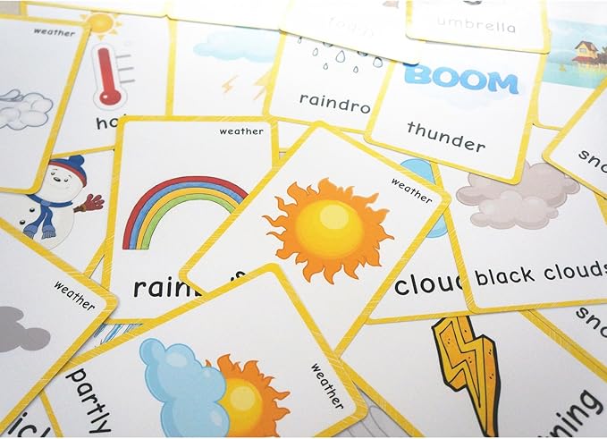 Body Parts+Weather Flashcards for Toddlers | Kids Learning Montessori Pocket Cards Toys | Perfect for Pre-K Decorations Background Wall Stickers,Teacher/Autism Therapists Tools