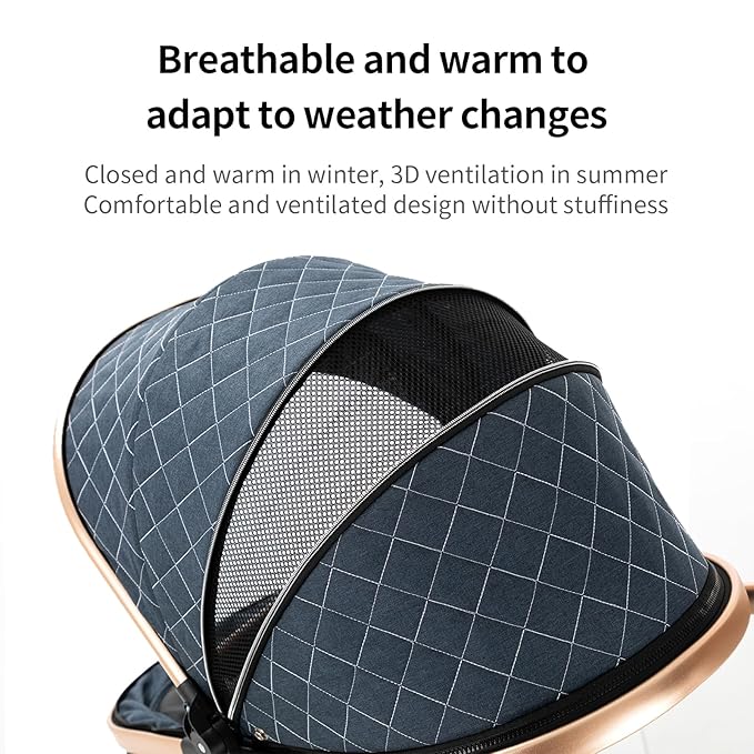 2 in 1 Baby Stroller Convertible Reversible Standard Pram Portable Pushchair Infant Buggy Baby Carriage Foldable High Landscape Pram for Toddler Newborn (225 Black Gold)