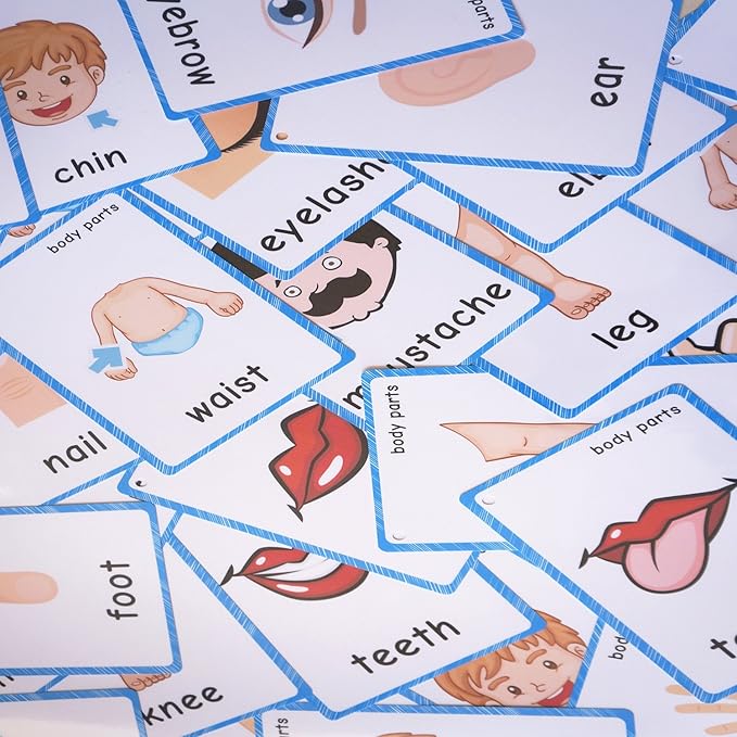 SANTSUN Set of Body Parts Kid Flashcards - Educational Learning Picture & Word Card Flashcards Body Parts-The Flash Hole-Punched So You Can Sort and Organize The Cards Easily
