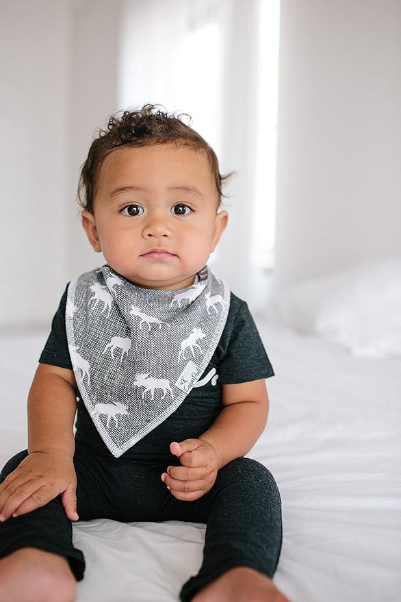 Copper Pearl Baby Bandana Drool Bibs for Drooling and Teething 4 Pack Gift Set “Scout Set